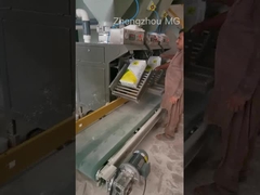 Full Automatic Dry Mix Powder Mortar Production Line Wall Putty Plaster Skim Coat Mixer Tile Adhesiv